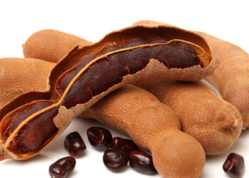 التمر الهندي .. منجم مضادات حيوية وخافض للحرارة