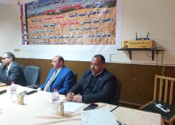 التنمية الريفية