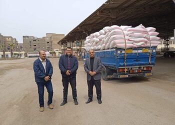 بدء موسم توريد القمح بمطحن وشونة بورسعيد