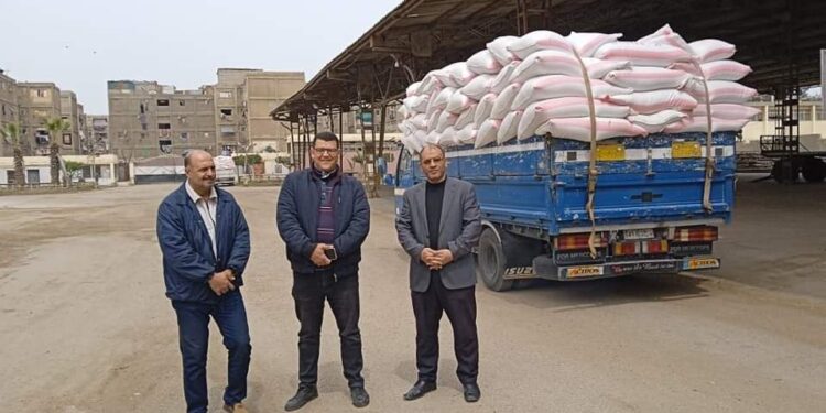 بدء موسم توريد القمح بمطحن وشونة بورسعيد 1 بدء موسم توريد القمح بمطحن وشونة بورسعيد