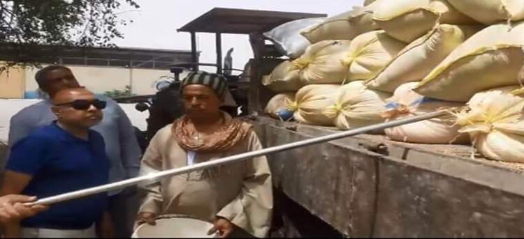 توريد محصول القمح.. محافظ أسيوط يعلن تسليم المزارعين 5432 طن للشون والصوامع 1 توريد محصول القمح.. محافظ أسيوط يعلن تسليم المزارعين 5432 طن للشون والصوامع