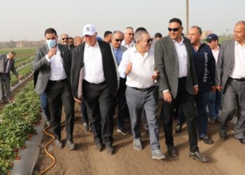 «القصير» يتفقد حقول بطاطس وفراولة تروى بـ أساليب الري الحديث 5 أساليب الري الحديث