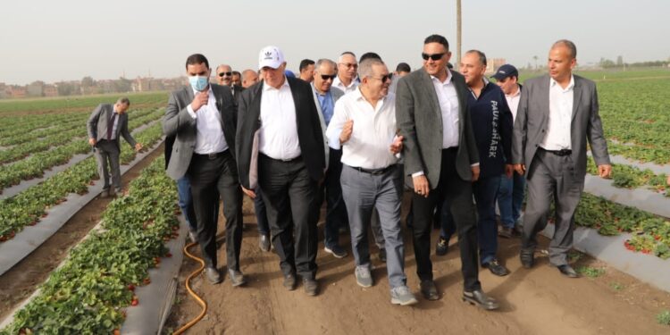 «القصير» يتفقد حقول بطاطس وفراولة تروى بـ أساليب الري الحديث 1 أساليب الري الحديث