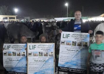 قوافل إرشادية