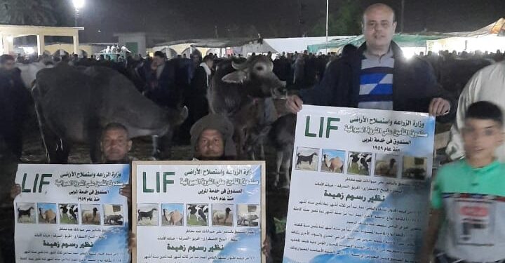 قوافل إرشادية بالأسواق ليلاً لصندوق التأمين على الثروة الحيوانية 1 قوافل إرشادية