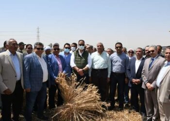 الزراعة تنظم يوم حصاد للقمح في محافظة الفيوم