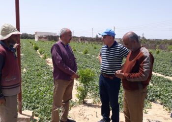 د. أحمد رزق يتابع أعمال مكافحة الآفات بالإسماعيلية