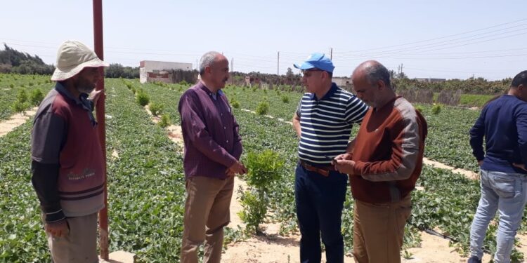 د. أحمد رزق يتابع أعمال مكافحة الآفات بالإسماعيلية 1 د. أحمد رزق يتابع أعمال مكافحة الآفات بالإسماعيلية