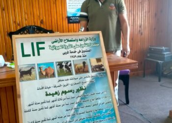 صندوق التأمين على الماشية