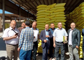 فحص التقاوي