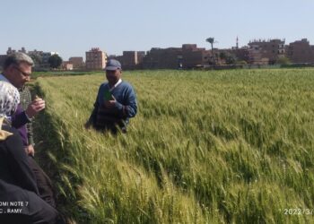 مكافحة الآفات