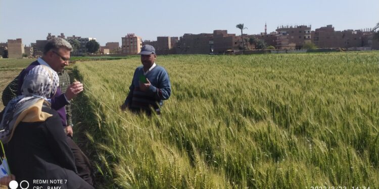 المركزية لمكافحة الآفات تكثف حملاتها الميدانية للاطمئنان على المحاصيل المختلفة 1 مكافحة الآفات