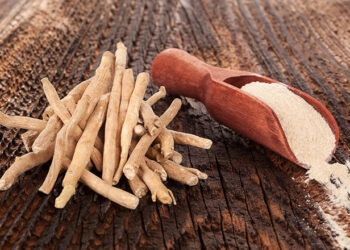 الأشواجندا