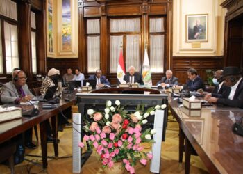 الأرز الإفريقي