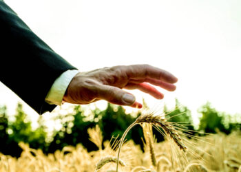 الأمن الغذائي