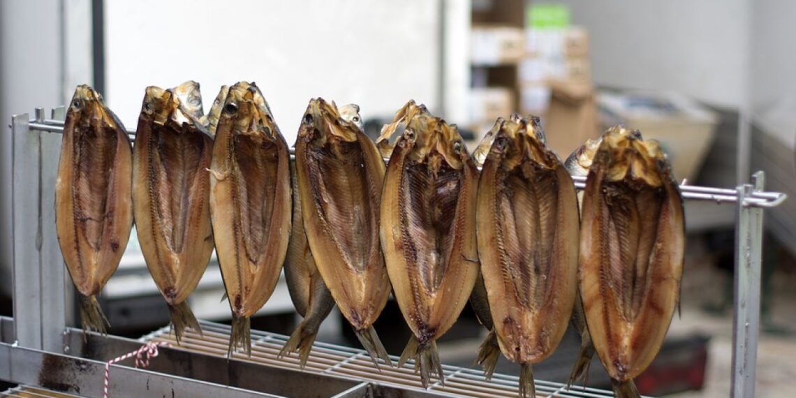 أسماك الرنجة