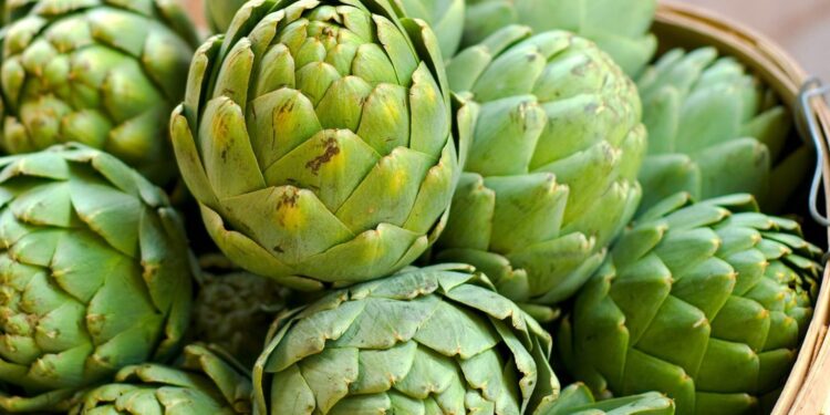 الخرشوف.. 14 فائدة صحية ومزايا وعوائد اقتصادية ضخمة للمُزارعين 1 الخرشوف