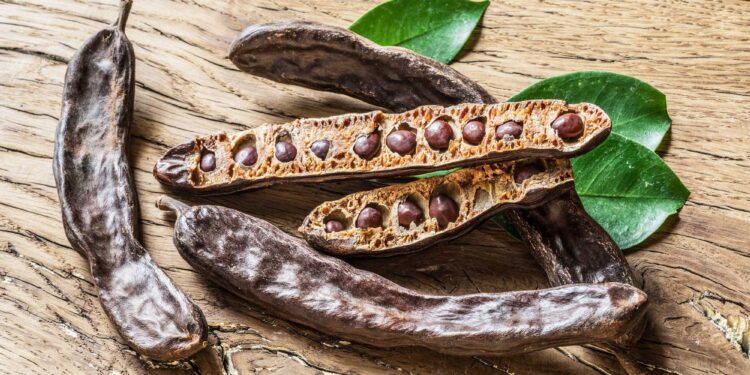 الخروب .. إليك أبرز 13 فائدة طبية لمسحوقه وبذوره 1 الخروب