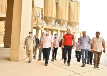 توريد القمح