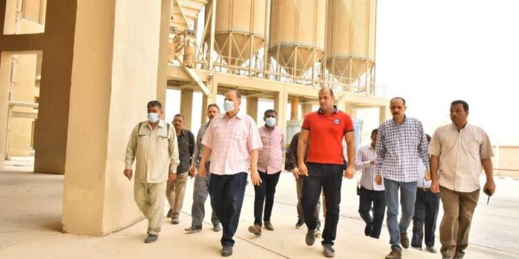 توريد القمح