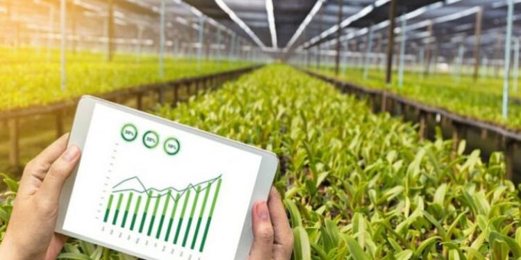 تطبيق الزراعة الذكية.. حلول وإجابات فورية لكافة مشاكل المُزارعين 1 تطبيق الزراعة الذكية