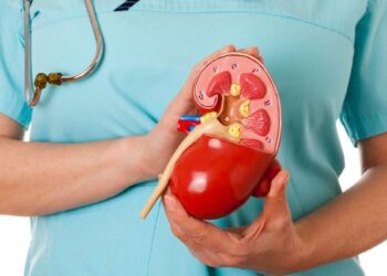 حمض البوليك