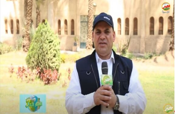لمزارعي المانجو والزيتون.. توصيات هامة في الأسبوع الأول من برمودة 1 بؤونة