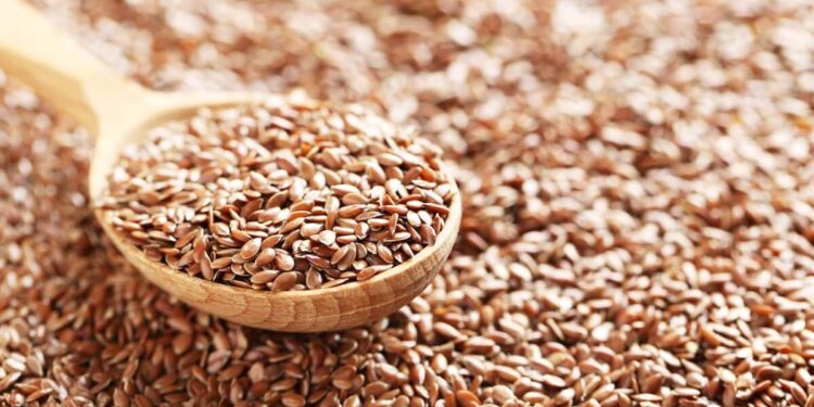 زراعة الكتان.. كمية التقاوي وأهم المُعاملات ومزايا طريقة "التسطير" 1 زراعة الكتان