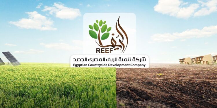 الريف المصري يعلن موافقة بنك وطني على قرض بقيمة 20.5 مليون جنيه لشركة بسيوة 1 الريف المصري