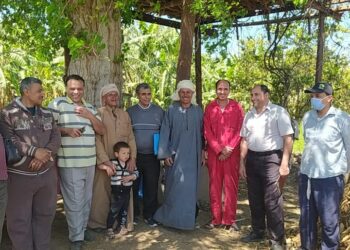 مرضي تورد القمة والتبرقش