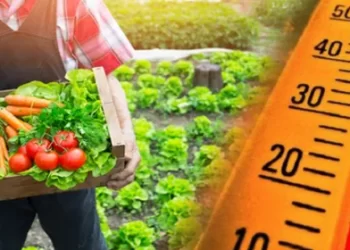 ارتفاع درجات الحرارة