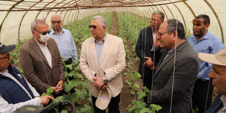 وزير الزراعة ومحافظ القليوبية يتفقدان صوب المشروع القومي لإنتاج التقاوي بقها 1 المشروع القومي لإنتاج التقاوي