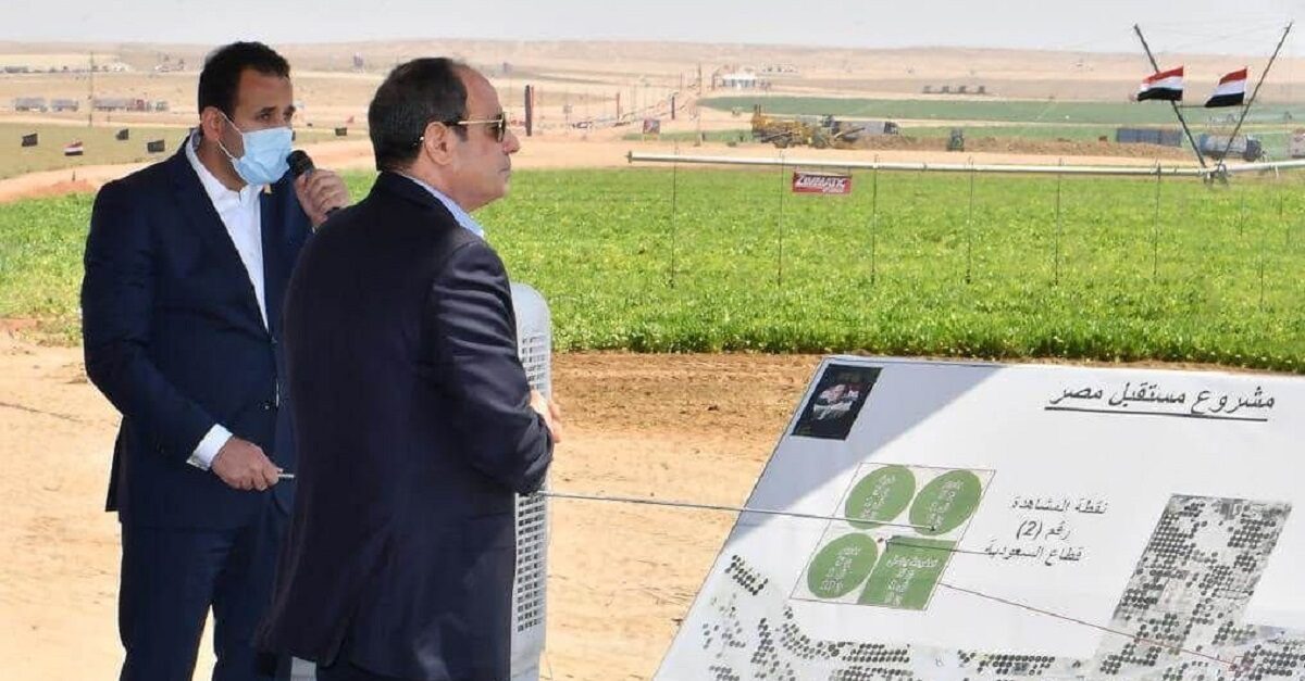 مشروع مستقبل مصر.. حقائق وأرقام تكشف حجم الإنجاز في الاستثمار الزراعي