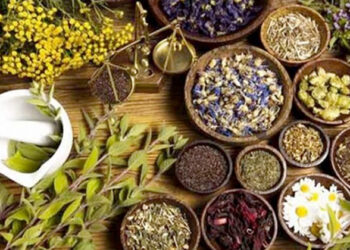 الأعشاب الطبية والعطرية