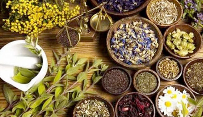 غش الأعشاب الطبية والعطرية 1 الأعشاب الطبية والعطرية