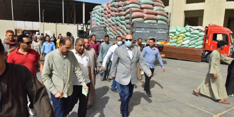 توريد 45 ألف طن من القمح بعدد 30 مركز تجميع وصومعة بأسيوط 1 القمح