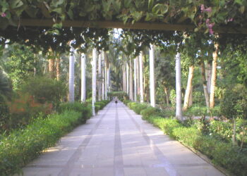 الحديقة النباتية