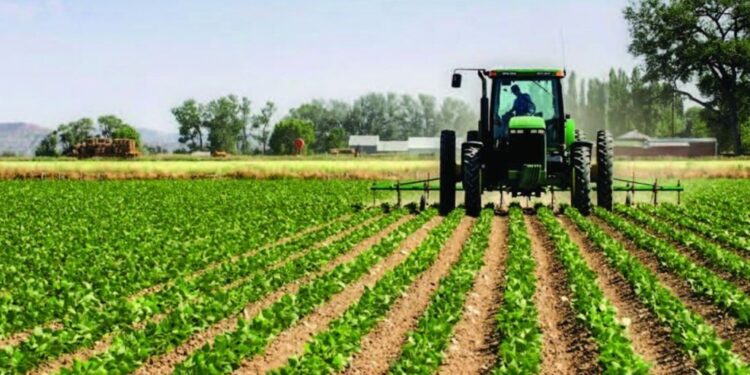 نشرة بأهم التوصيات الفنية للمزارعين خلال طقس اليوم 1 التوصيات الفنية