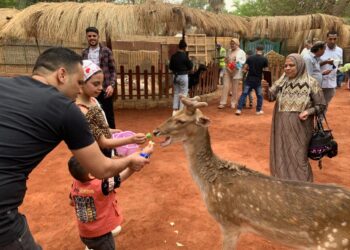 الزراعة: حديقة الحيوان استقبلت 40 ألف زائر.. وإقبال جماهيري على الأورمان والأسماك