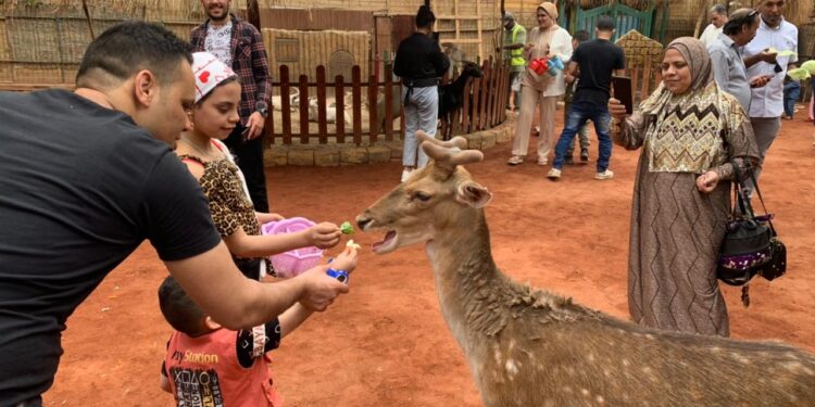 الزراعة: حديقة الحيوان استقبلت 40 ألف زائر.. وإقبال جماهيري على الأورمان والأسماك