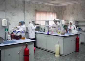 الزراعة: متبقيات المبيدات فحص 2000 عينة.. والحجر الزراعي يواصل مهامه في المزارع والموانئ