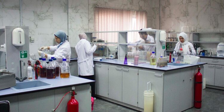 الزراعة: متبقيات المبيدات فحص 2000 عينة.. والحجر الزراعي يواصل مهامه في المزارع والموانئ 1 الزراعة: متبقيات المبيدات فحص 2000 عينة.. والحجر الزراعي يواصل مهامه في المزارع والموانئ