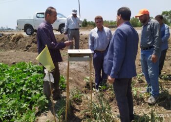 رئيس المكافحة يتابع المحاصيل الصيفية بالمنوفية ويتفقد قاعدة الجراد بالغربية