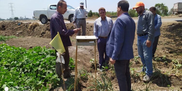 رئيس المكافحة يتابع المحاصيل الصيفية بالمنوفية ويتفقد قاعدة الجراد بالغربية 1 رئيس المكافحة يتابع المحاصيل الصيفية بالمنوفية ويتفقد قاعدة الجراد بالغربية
