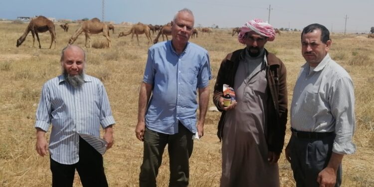 بحوث الصحراء ينظم قافلة بيطرية مجانية بواحة سيوة 1 بحوث الصحراء ينظم قافلة بيطرية مجانية بواحة سيوة