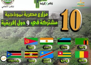 أرقامX الزراعة| خريطة المزارع النموذجية المشتركة لمصر في إفريقيا