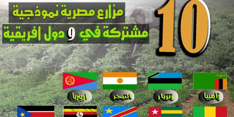 أرقامX الزراعة| خريطة المزارع النموذجية المشتركة لمصر في إفريقيا