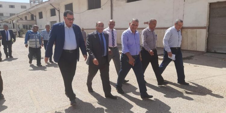 توريد القمح