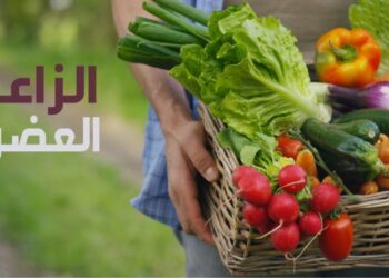 الزراعة العضوية.. شروط تحول المزرعة وأهم التطبيقات المستخدمة 8 المركزي للزراعة العضوية