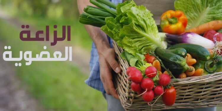 الزراعة العضوية.. شروط تحول المزرعة وأهم التطبيقات المستخدمة 1 المركزي للزراعة العضوية